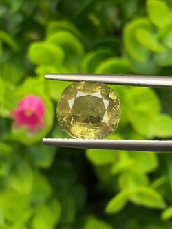 พลอย บุษราคัม (yellow sapphire) 3.37 กะรัต (Cts.) ดิบ (Unheated) พร้อมใบเซอร์ พลอยแท้ อัญมณีมงคลประจําวันเกิด เครื่องประดับพลอย