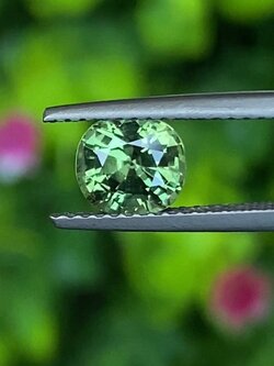 พลอย เขียวส่อง (ฺGreen Sapphire) 1.34 กะรัต (Cts.) พลอยแท้ อัญมณีมงคลประจําวันเกิด เครื่องประดับพลอย