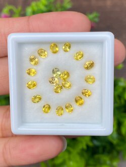 พลอย บุษราคัม yellow sapphire 4.72 กะรัต (Cts.) 20 เม็ด (Pcs.) พลอยแท้ อัญมณีมงคลประจําวันเกิด เครื่องประดับพลอย