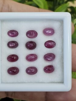 พลอย ทับทิม สตาร์ แซฟไฟร์ Ruby Star Sapphire 9.0 กะรัต (Cts.) 12 (Pcs.) พลอยแท้ อัญมณีมงคลประจําวันเกิด เครื่องประดับพลอย