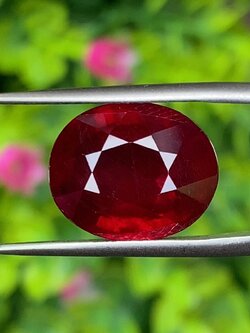 พลอย ทับทิม (Ruby Sapphire) 11.69 กะรัต (Cts.) พลอยแท้ อัญมณีมงคลประจําวันเกิด เครื่องประดับพลอย