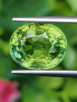 พลอย กรีน ทัวร์มารีน (Green Tourmaline) 6.80 กะรัต (Cts.) อัญมณีมงคลประจําวันเกิด เครื่องประดับพลอย