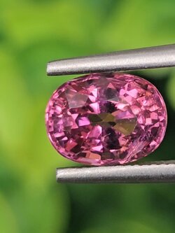 พลอย ทัวร์มารีน (Tourmaline) 1.63 กะรัต (Cts.) อัญมณีมงคลประจําวันเกิด เครื่องประดับพลอย