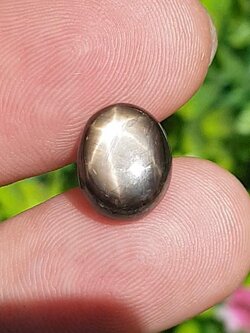 พลอย แบล็ค สตาร์ แซฟไฟร์ Black Star Sapphire 8.56 กะรัต (Cts.) ดิบ Unheated พลอยแท้ อัญมณีมงคลประจําวันเกิด เครื่องประดับพลอย