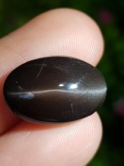 พลอย ตาแมว สแคปโพไลท์ Cat eye Scapolite 9.71 กะรัต (Cts.) พลอยแท้ อัญมณีมงคลประจําวันเกิด เครื่องประดับพลอย