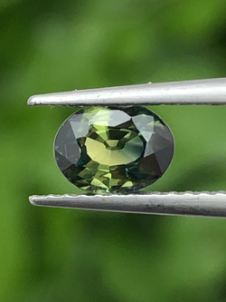 พลอย แซฟไฟร์ 2 สี Bi Color Sapphire 0.85 กะรัต (Cts.) พลอยแท้ อัญมณีมงคลประจําวันเกิด เครื่องประดับพลอย