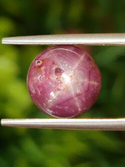 พลอย ทับทิม สตาร์ แซฟไฟร์ Ruby Star Sapphire 6.84 กะรัต (Cts.) พลอยแท้ อัญมณีมงคลประจําวันเกิด เครื่องประดับพลอย