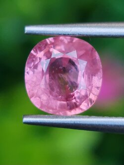 พลอยชมพูส้มแซฟไฟร์ Orangy Pink Sapphire 1.56 กะรัต (Cts.) พร้อมใบเซอร์ พลอยแท้ อัญมณีมงคลประจําวันเกิด เครื่องประดับพลอย