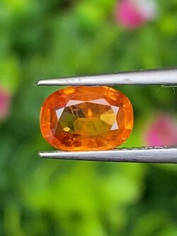 พลอย บุษราคัม Yellow Sapphire 1.35 กะรัต (Cts.) พลอยแท้ อัญมณีมงคลประจําวันเกิด เครื่องประดับพลอย