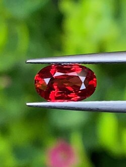 พลอย ทับทิม ซองเจีย (Songea Ruby Sapphire) 1.02 กะรัต (Cts.) *สี VIVID RED พร้อมใบเซอร์ (With Certificate) พลอยแท้ อัญมณีมงคลประจําวันเกิด เครื่องประดับพลอย