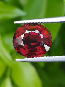 พลอย โรโดไลต์ กาเน็ท Rhodolite Garnet 7.50 กะรัต Cts. พร้อมใบเซอร์ พลอยแท้ อัญมณีมงคลประจําวันเกิด เครื่องประดับพลอย