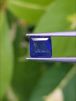 ไพลิน (Blue Sapphire) 1.50 กะรัต (Cts.) พลอยแท้ อัญมณีมงคลประจําวันเกิด เครื่องประดับพลอย