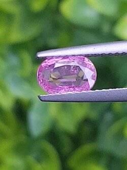 พลอย ชมพู พิ้ง แซฟไฟร์ Pink Sapphire ดิบ Unheated 1.05 กะรัต (Cts.) พร้อมใบเซอร์ พลอยแท้ อัญมณีมงคลประจําวันเกิด เครื่องประดับพลอย