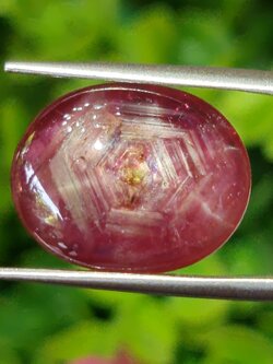 พลอย ทับทิม สตาร์ แซฟไฟร์ Ruby Star Sapphire 13.14 กะรัต (Cts.) พลอยแท้ อัญมณีมงคลประจําวันเกิด เครื่องประดับพลอย