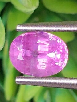 พลอย ชมพู พิ้ง แซฟไฟร์ Pink Sapphire 1.27 กะรัต (Cts.) พลอยแท้ อัญมณีมงคลประจําวันเกิด เครื่องประดับพลอย