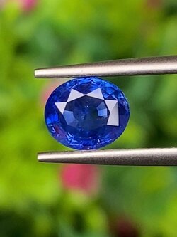 พลอย ไพลิน (Blue Sapphire) 1.47 กะรัต (Cts.) สีพิเศษ รอยัล บลู (Royal Blue) พร้อมใบเซอร์ พลอยแท้ อัญมณีมงคลประจําวันเกิด เครื่องประดับพลอย