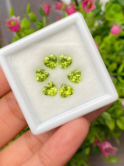 พลอย เพอริดอต Peridot 5.32 กะรัต (Cts.) 6 เม็ด (pcs.) พลอยแท้ อัญมณีมงคลประจําวันเกิด เครื่องประดับพลอย