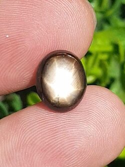 พลอย แบล็ค สตาร์ แซฟไฟร์ Black Star Sapphire 8.20 กะรัต (Cts.) ดิบ Unheated พลอยแท้ อัญมณีมงคลประจําวันเกิด เครื่องประดับพลอย