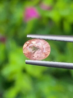พลอย พัดพารัดชา Padparadscha Sapphire 0.70 กะรัต (Cts.) พร้อมใบเซอร์ พลอยแท้ อัญมณีมงคลประจําวันเกิด เครื่องประดับพลอย