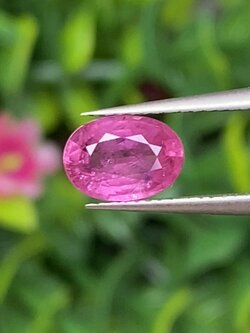 พลอย ชมพู พิ้ง แซฟไฟร์ Pink Sapphire 1.07 กะรัต (Cts.) พลอยแท้ อัญมณีมงคลประจําวันเกิด เครื่องประดับพลอย