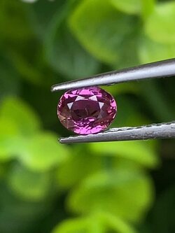 พลอย ทับทิม สยาม (Siam Ruby Sapphire) 0.50 กะรัต (Cts.) ดิบ (Unheated) พลอยแท้ อัญมณีมงคลประจําวันเกิ เครื่องประดับพลอย