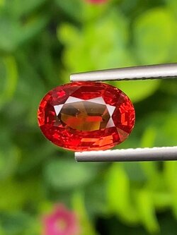 พลอย ทับทิม ซองเจีย Ruby Sapphire 2.66 กะรัต (Cts) พลอยแท้ อัญมณีมงคลประจําวันเกิด เครื่องประดับพลอย