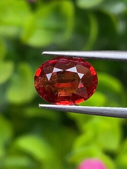 พลอย ทับทิม ซองเจีย Songea Ruby Sapphire 1.41 กะรัต (Cts.) พลอยแท้ อัญมณีมงคลประจําวันเกิด เครื่องประดับพลอย