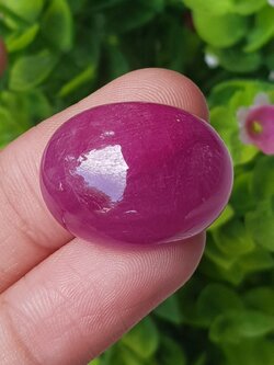 พลอย ทับทิม (Ruby Sapphire) 45.49 กะรัต (Cts.) พลอยแท้ อัญมณีมงคลประจําวันเกิด เครื่องประดับพลอย