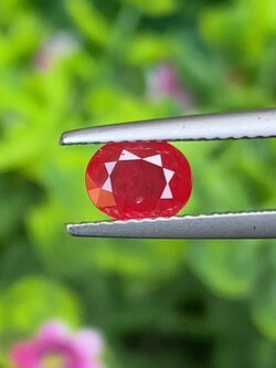 พลอย ทับทิม สยาม (Siam Ruby Sapphire) 1.05 กะรัต (Cts.) พลอยแท้ อัญมณีมงคลประจําวันเกิด เครื่องประดับพลอย