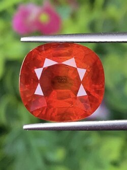 พลอย บุษราคัม yellow sapphire 10.46 กะรัต (Cts.) *สีพิเศษ ส้มหมากสุก* พร้อมใบเซอร์ พลอยแท้ อัญมณีมงคลประจําวันเกิด เครื่องประดับพลอย