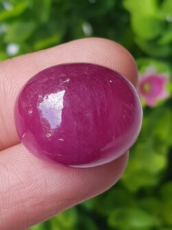 พลอย ทับทิม (Ruby Sapphire) 52.75 กะรัต (Cts.) พลอยแท้ อัญมณีมงคลประจําวันเกิด เครื่องประดับพลอย