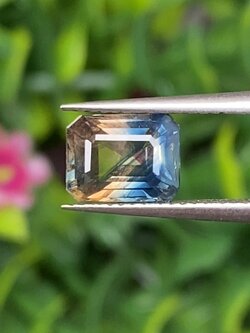 พลอย แซฟไฟร์ 2 สี Bi-Color Sapphire 1.47 กะรัต (Cts.) พลอยแท้ อัญมณีมงคลประจําวันเกิด เครื่องประดับพลอย