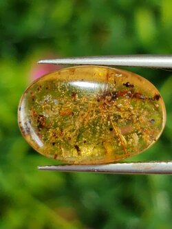 อำพัน พม่า มีแมลงภายใน Myanmar Amber with insect 3.93 กะรัต พร้อมใบเซอร์ พลอยแท้ อัญมณีมงคลประจําวันเกิด เครื่องประดับพลอย