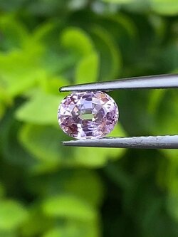 พลอย ชมพู พิ้ง แซฟไฟร์ Pink Sapphire 0.91 กะรัต (Cts.) พลอยแท้ อัญมณีมงคลประจําวันเกิด เครื่องประดับพลอย