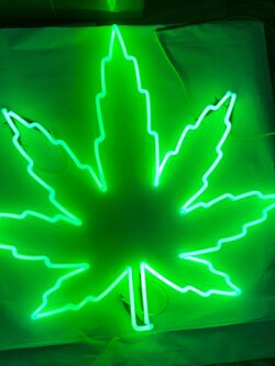 ป้ายไฟนีออนแก้วดัดรูปใบกัญชา แสงสีเขียว ขนาด 60 cm