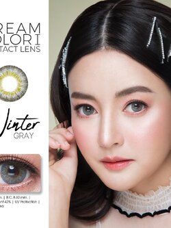 Dream color สีเทา