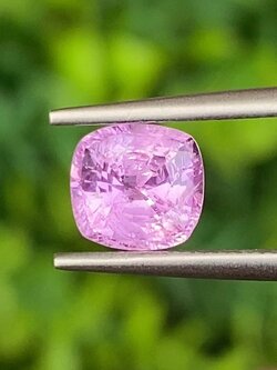 พลอย ชมพู พิ้ง แซฟไฟร์ Pink Sapphire 1.65 กะรัต (Cts.) พลอยแท้ อัญมณีมงคลประจําวันเกิด เครื่องประดับพลอย