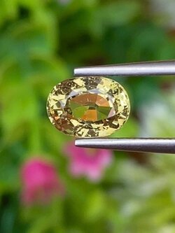 พลอย คริโซเบริล (Chrysoberyl) 1.83 กะรัต (Cts.) พลอยแท้ อัญมณีมงคลประจําวันเกิด เครื่องประดับพลอย