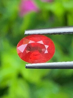 พลอย ทับทิม ซองเจีย (Songea Ruby Sapphire) 1.18 กะรัต (Cts.) พลอยแท้ อัญมณีมงคลประจําวันเกิด เครื่องประดับพลอย