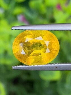 พลอย บุษราคัม yellow sapphire 6.00 กะรัต (Cts.) เผาใหม่ พลอยแท้ อัญมณีมงคลประจําวันเกิด เครื่องประดับพลอย