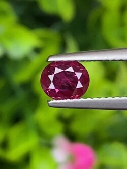 พลอย ทับทิม สยาม Siam Ruby sapphire 0.59 กะรัต (Cts.) พร้อมใบเซอร์ *สีพิเศษ Vivid Red* พลอยแท้ อัญมณีมงคลประจําวันเกิด เครื่องประดับพลอย