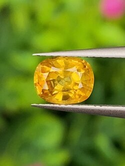 พลอย บุษราคัม yellow sapphire 1.05 กะรัต (Cts.) พลอยแท้ อัญมณีมงคลประจําวันเกิด เครื่องประดับพลอย