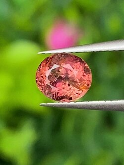 พลอย ชมพู พิ้ง แซฟไฟร์ Pink Sapphire 0.75 กะรัต (Cts.) พลอยแท้ อัญมณีมงคลประจําวันเกิด เครื่องประดับพลอย