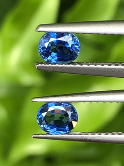 พลอย ไพลิน Blue Sapphire 1.16 กะรัต (Cts.) 2 เม็ด (Pcs.) พลอยแท้ อัญมณีมงคลประจําวันเกิด เครื่องประดับพลอย