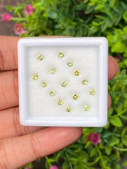 พลอย ดีแมนทรอยด์ การ์เน็ต Demantoid Garnet 1.46 Cts. 15 เม็ด (Pcs.) ดิบ Unheated พลอยแท้ อัญมณีมงคลประจําวันเกิด เครื่องประดับพลอย