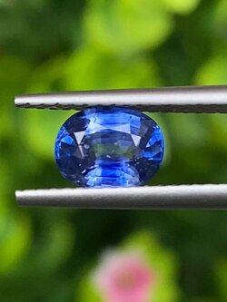 พลอย ไพลิน (Blue Sapphire) 1.19 กะรัต (Cts.) สีพิเศษ คอนฟลาวเวอร์ บลู (Cornflower Blue) พร้อมใบเซอร์ 2 ใบ พลอยแท้ อัญมณีมงคลประจําวันเกิด เครื่องประดับพลอย