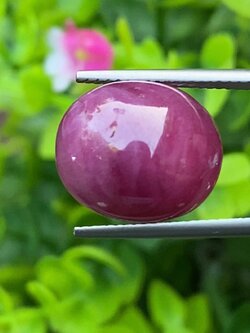 พลอย ทับทิม (Ruby Sapphire) 16.75 กะรัต (Cts.) พลอยแท้ อัญมณีมงคลประจําวันเกิด เครื่องประดับพลอย