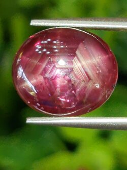 พลอย ทับทิม สตาร์ แซฟไฟร์ Ruby Star Sapphire 8.08 กะรัต (Cts.) พลอยแท้ อัญมณีมงคลประจําวันเกิด เครื่องประดับพลอย