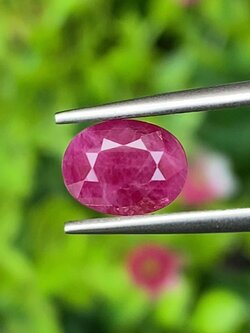 พลอย ทับทิม พม่า (Burmese Ruby Sapphire) 1.66 กะรัต พลอยแท้ อัญมณีมงคลประจําวันเกิด เครื่องประดับพลอย