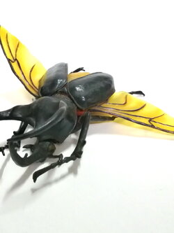 ของสะสม ตัวด้วงกว่าง จำลอง 3 เขา กางปีกบิน ปีกถอดได้ เป็นพลาสติกเนื้อตัน ปีกครึ่งขุ่นครึ่งใส ตัวใหญ่ราว 5 นิ้ว เก่าเก็บตัวนี้หายาก ลงสีเหมือนจริง